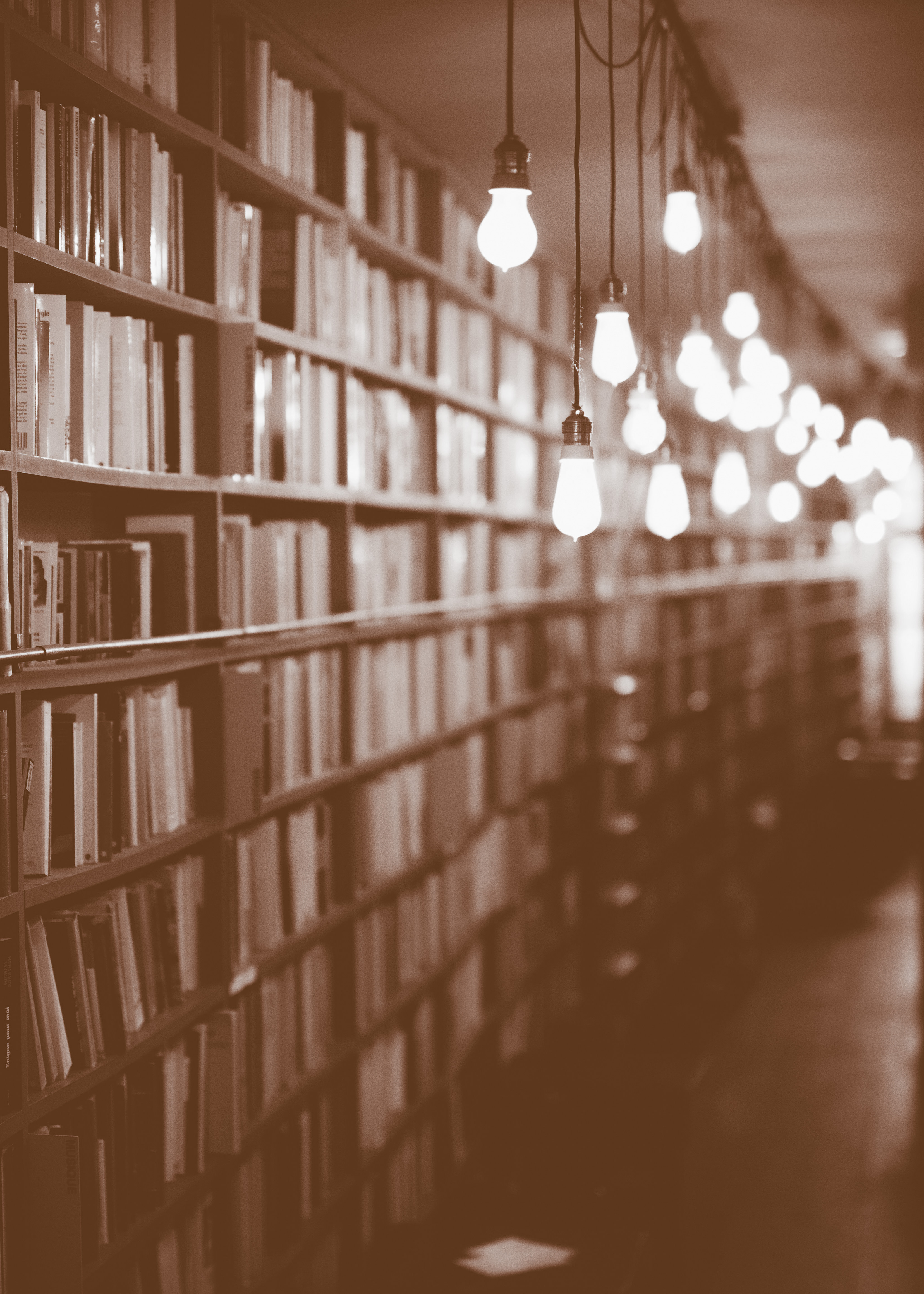 Bibliothek